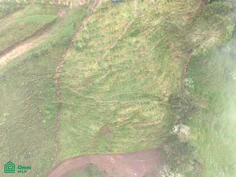 Land for Sale in Páramo, PZ, CR | 20,000 m²