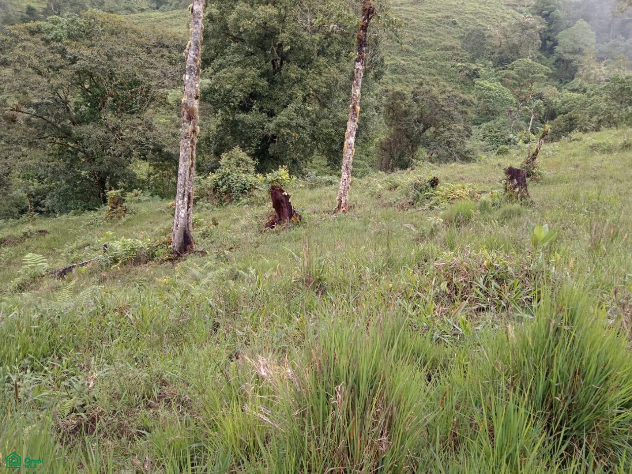 Land for Sale in Páramo, PZ, CR | 20,000 m²