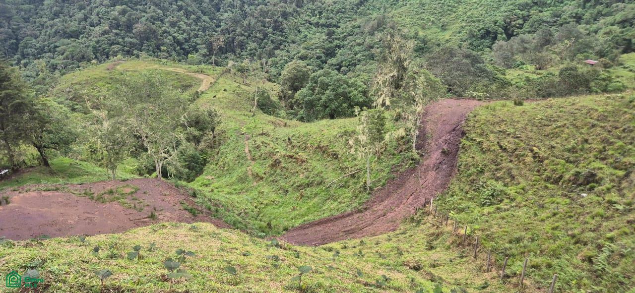 Land for Sale in Páramo, PZ, CR | 20,000 m²