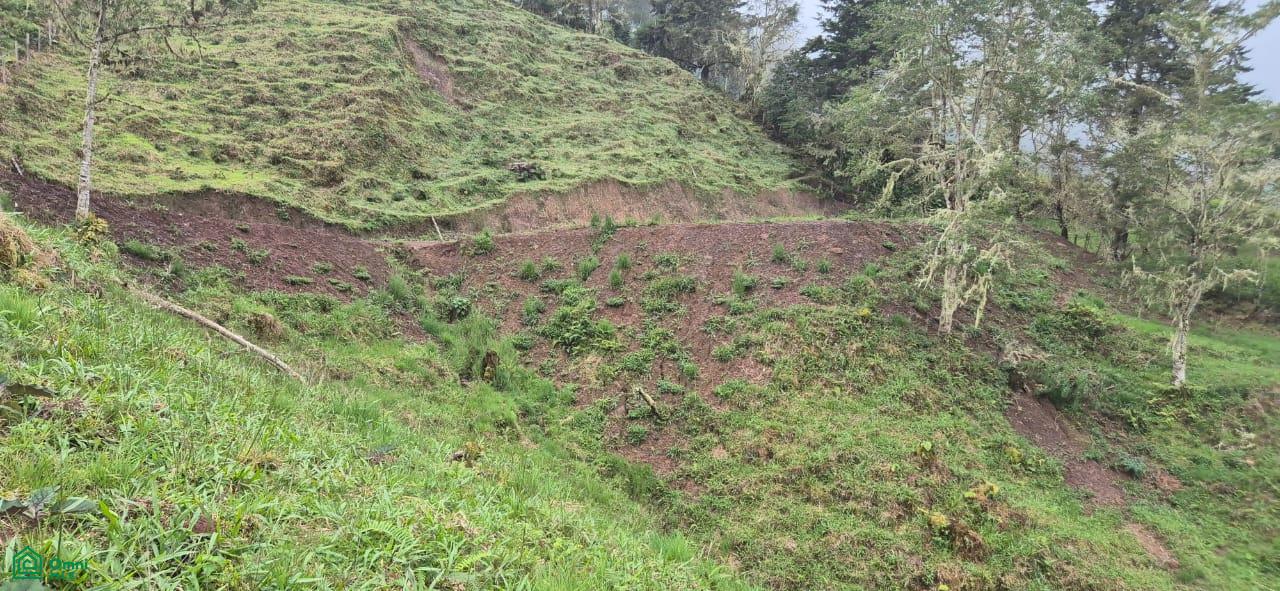 Land for Sale in Páramo, PZ, CR | 20,000 m²