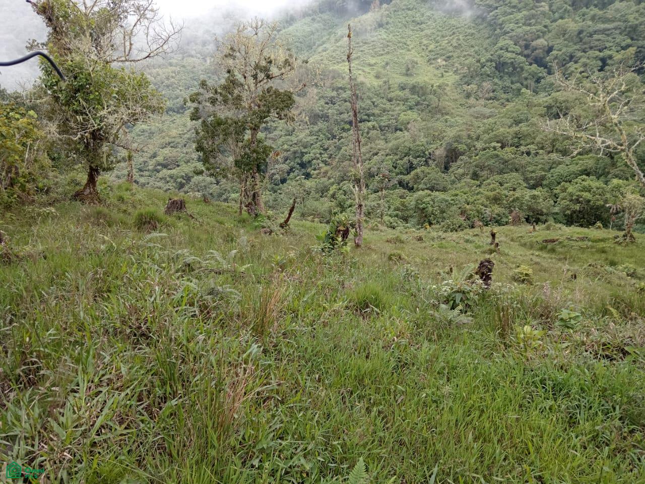 Land for Sale in Páramo, PZ, CR | 20,000 m²