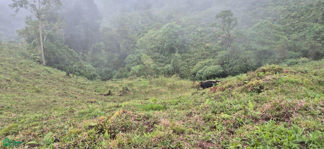 Land for Sale in Páramo, PZ, CR | 20,000 m²
