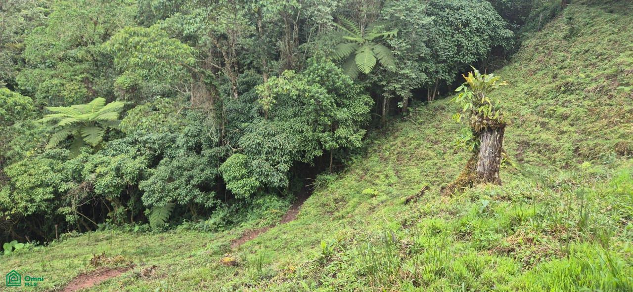 Land for Sale in Páramo, PZ, CR | 20,000 m²