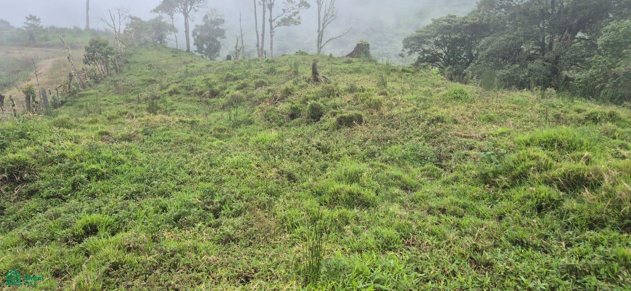 Land for Sale in Páramo, PZ, CR | 20,000 m²
