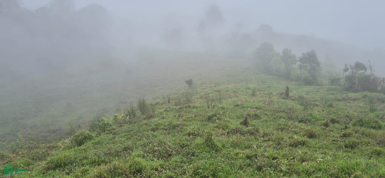 Land for Sale in Páramo, PZ, CR | 20,000 m²