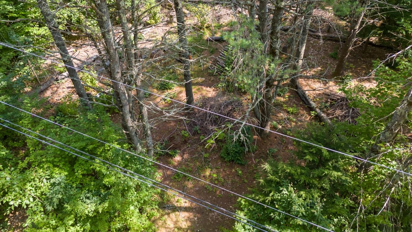 Lot 10 Thomas Drive