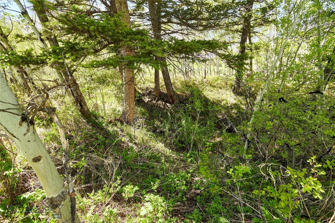 88 Elk Ridge