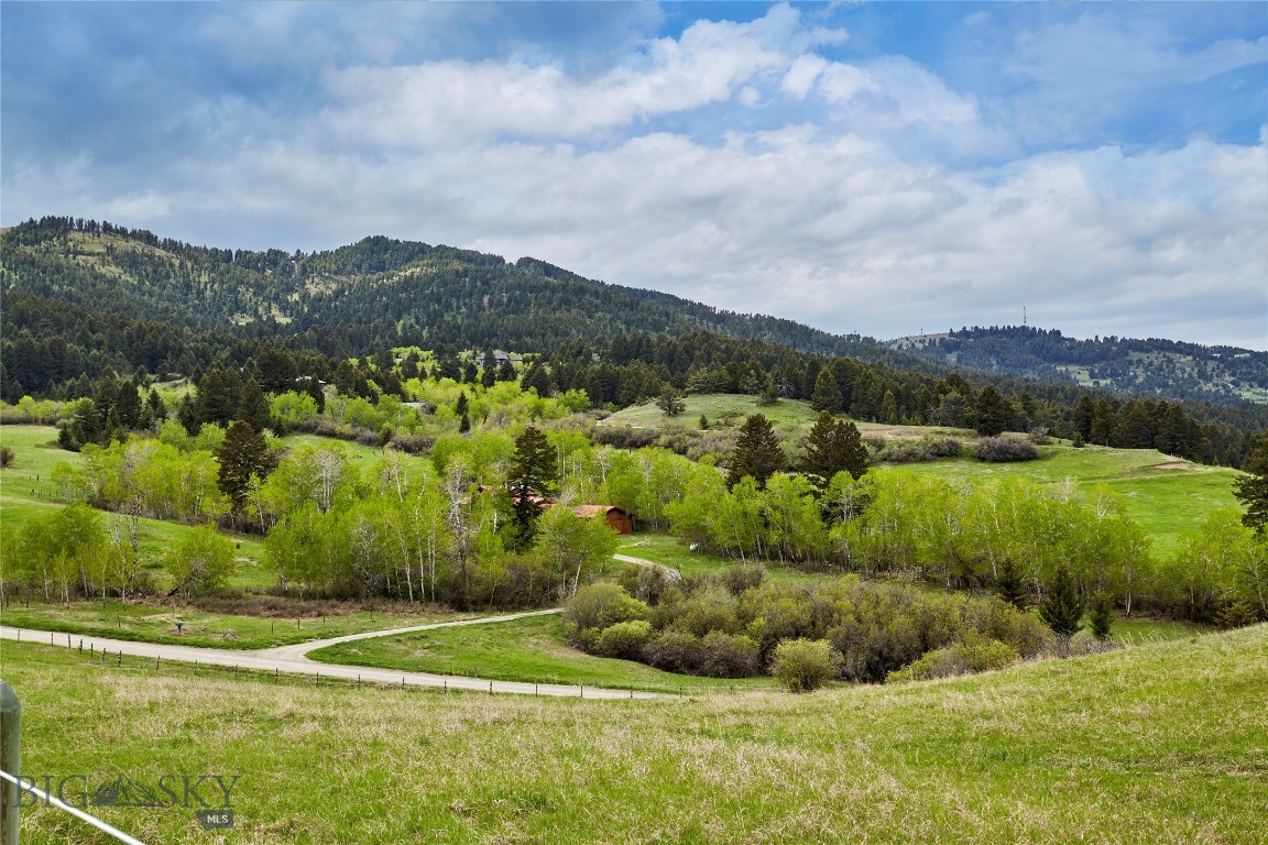 88 Elk Ridge