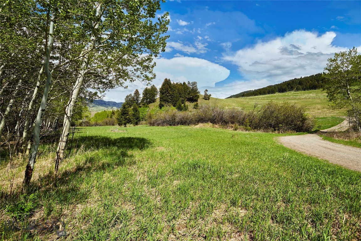 88 Elk Ridge