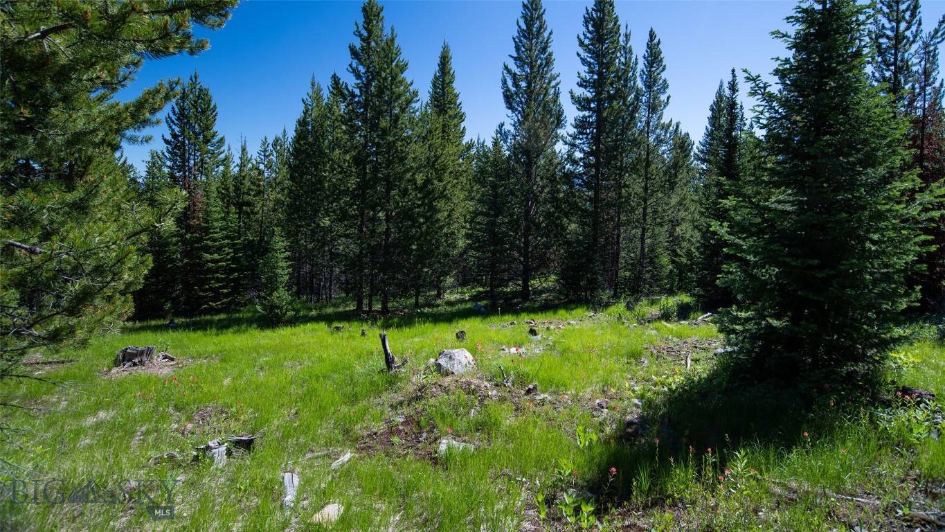 Lot 1 Big Buck Road