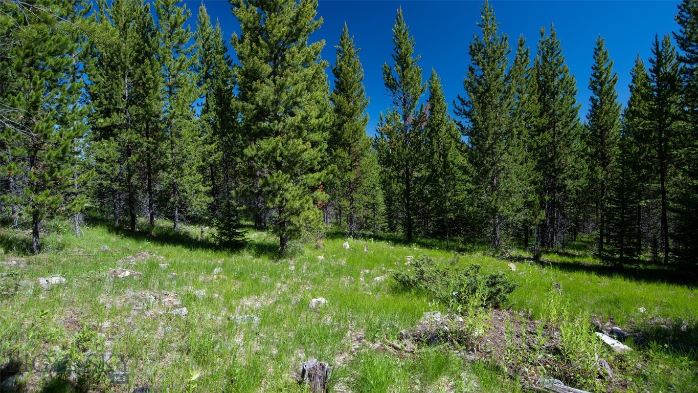 Lot 1 Big Buck Road