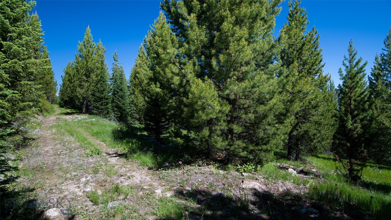 Lot 1 Big Buck Road