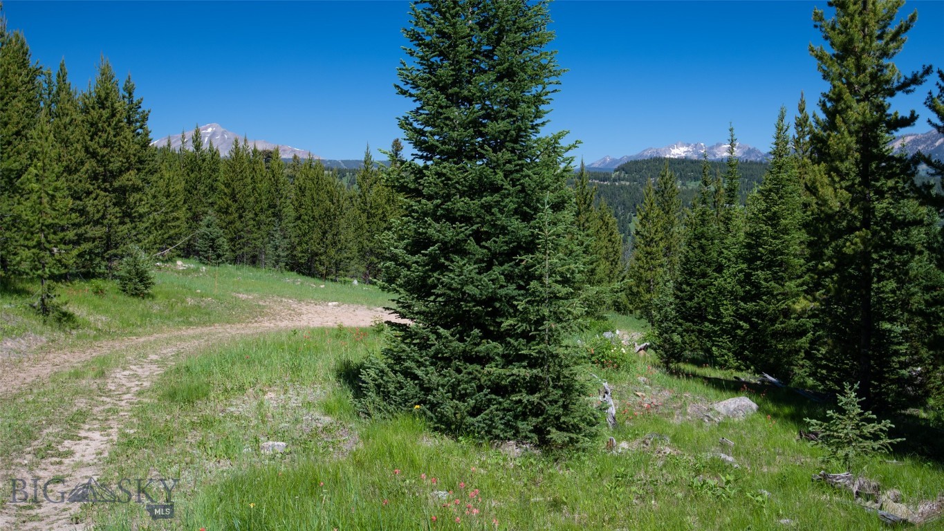 Lot 1 Big Buck Road