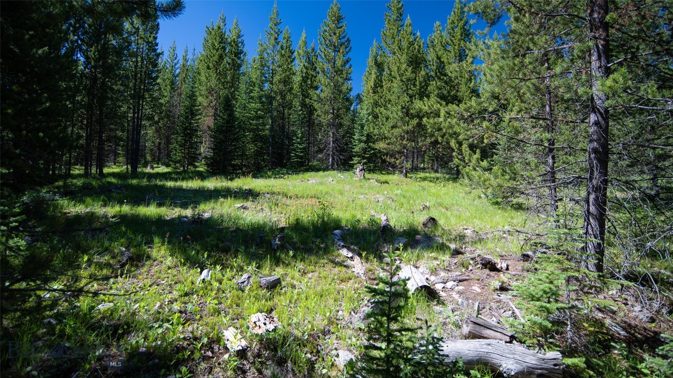 Lot 1 Big Buck Road