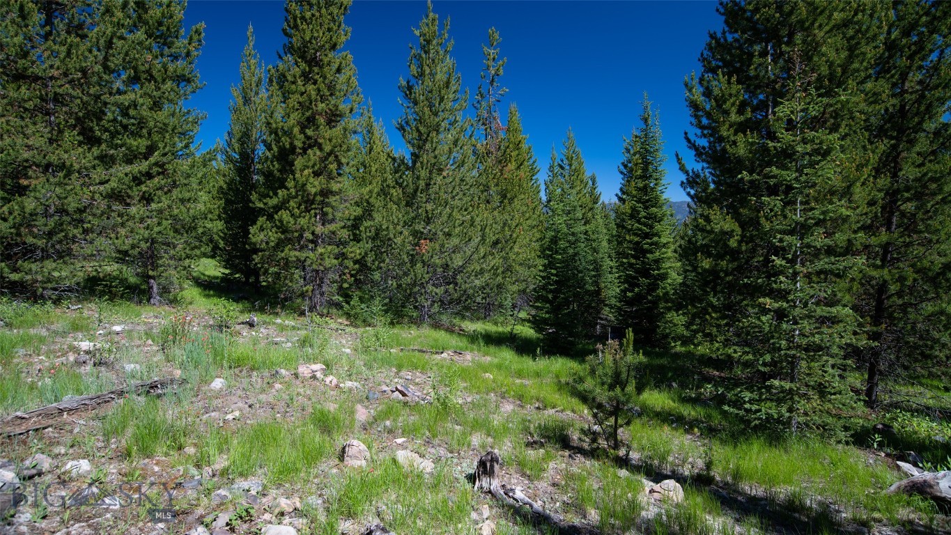 Lot 1 Big Buck Road