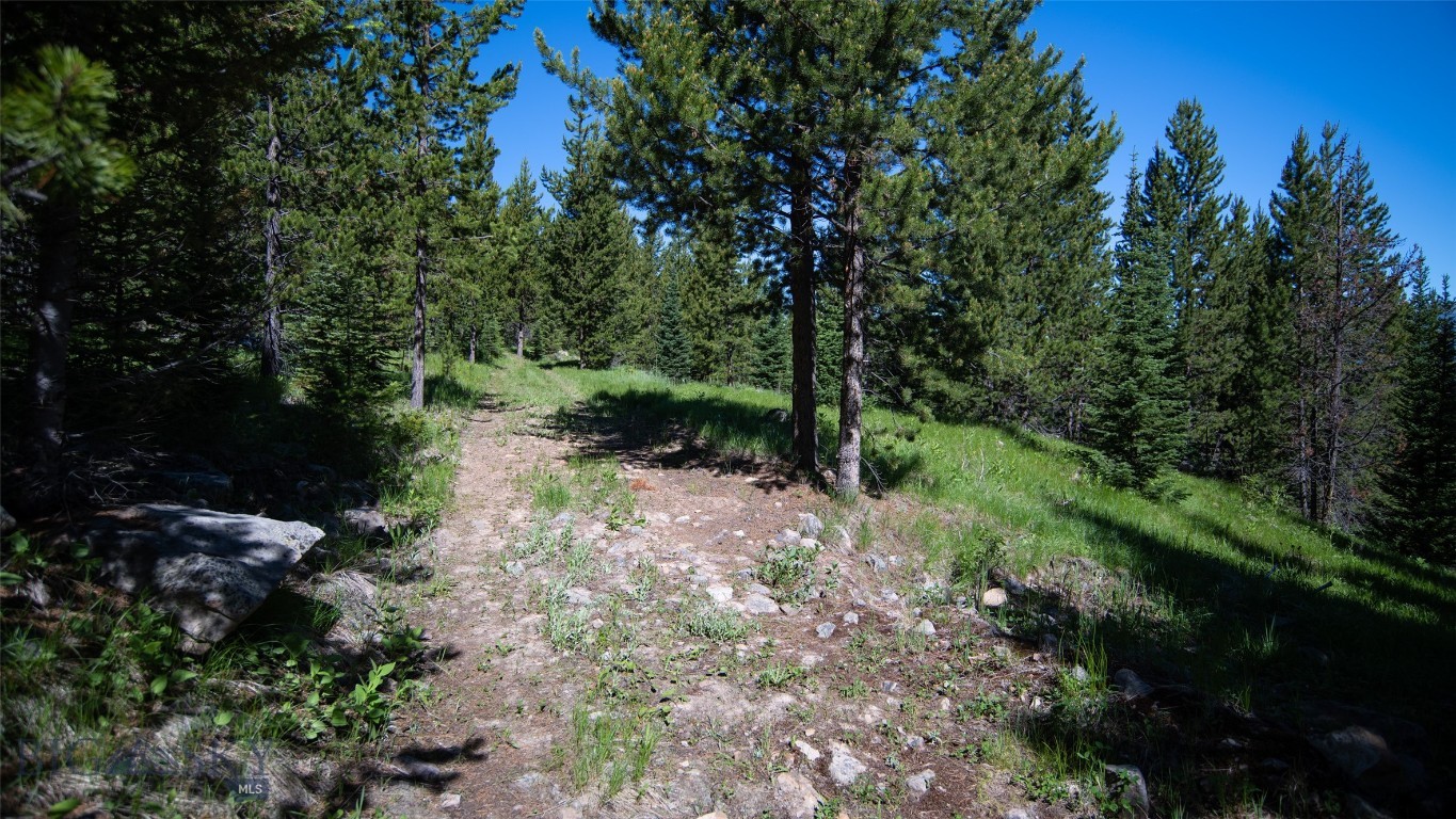Lot 1 Big Buck Road