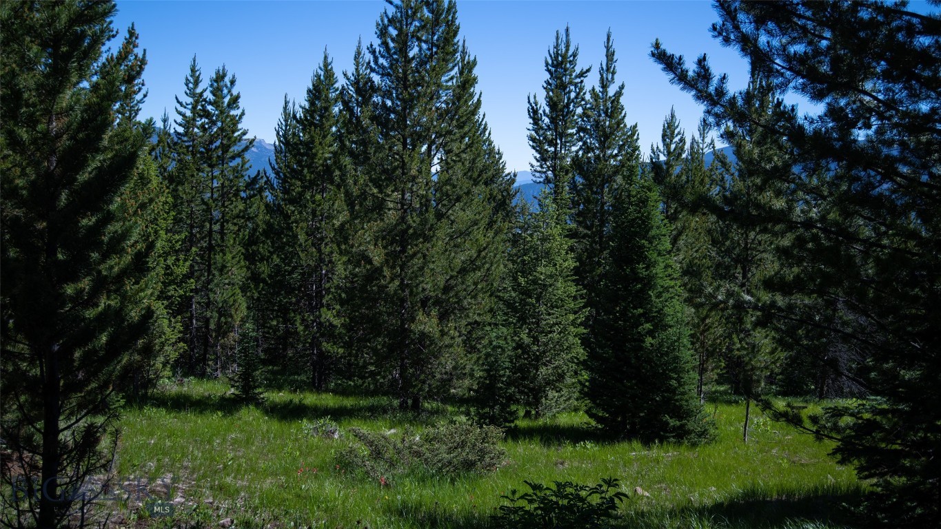 Lot 1 Big Buck Road