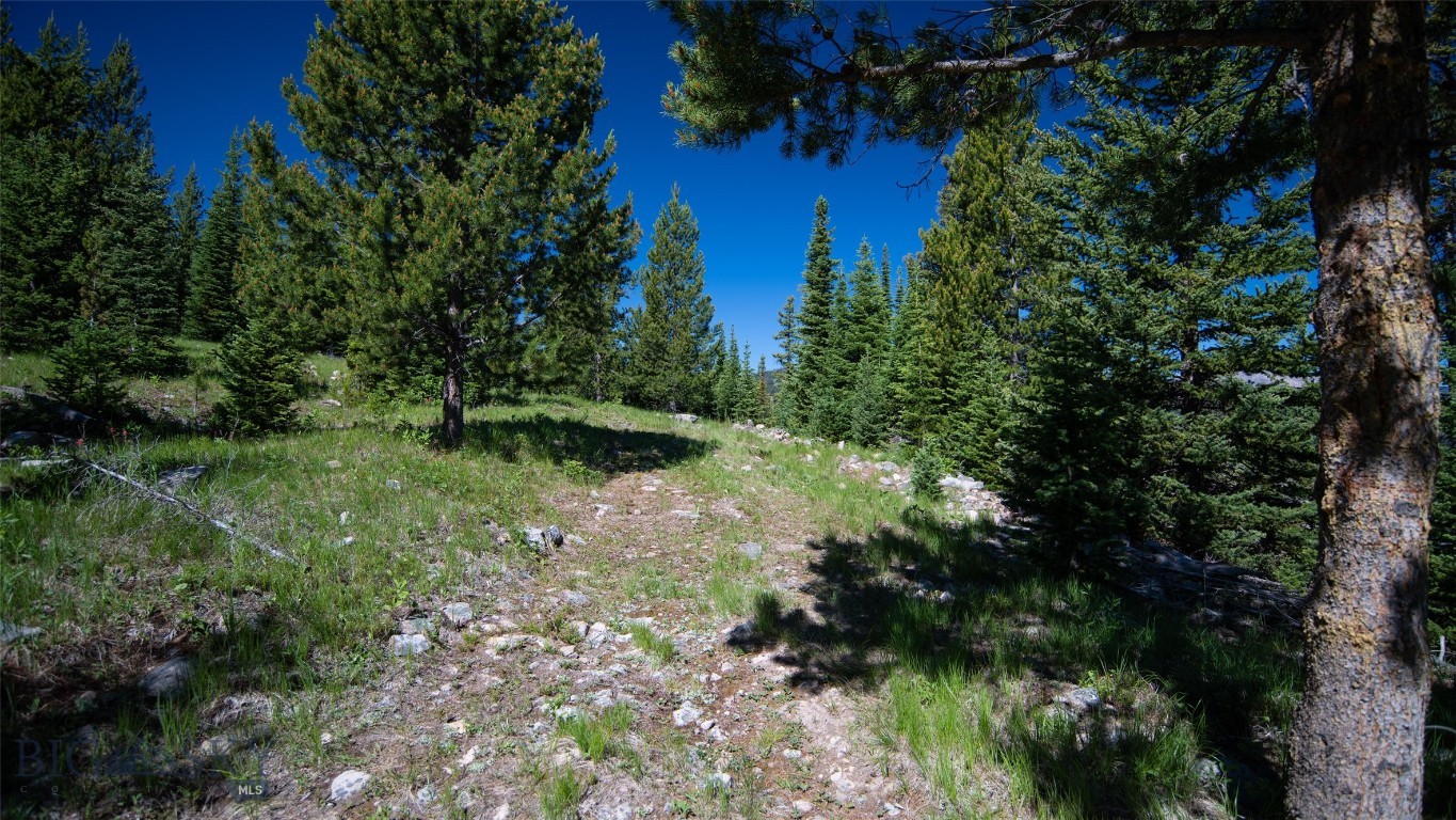 Lot 1 Big Buck Road