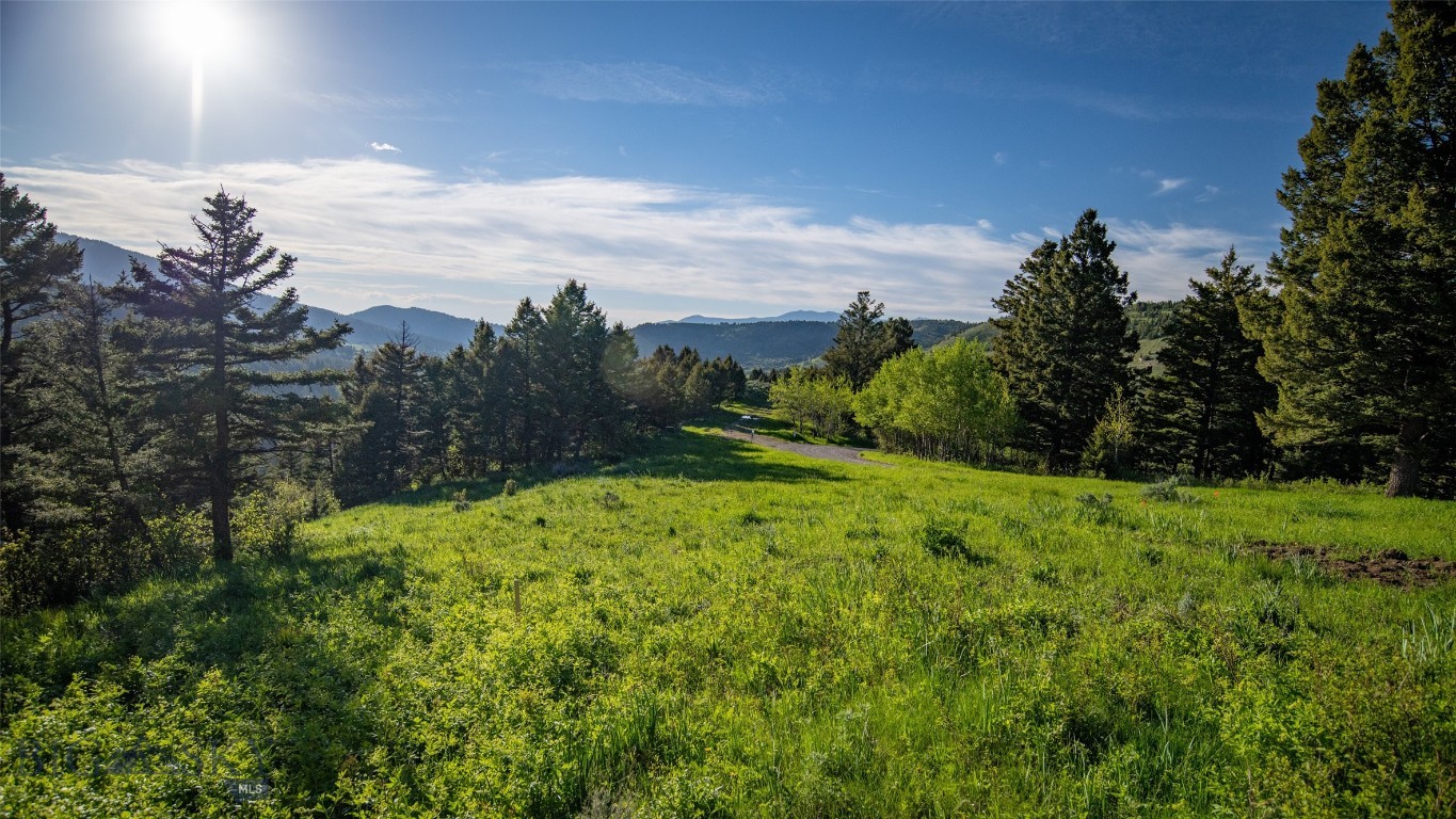 3539 Claim Creek Road