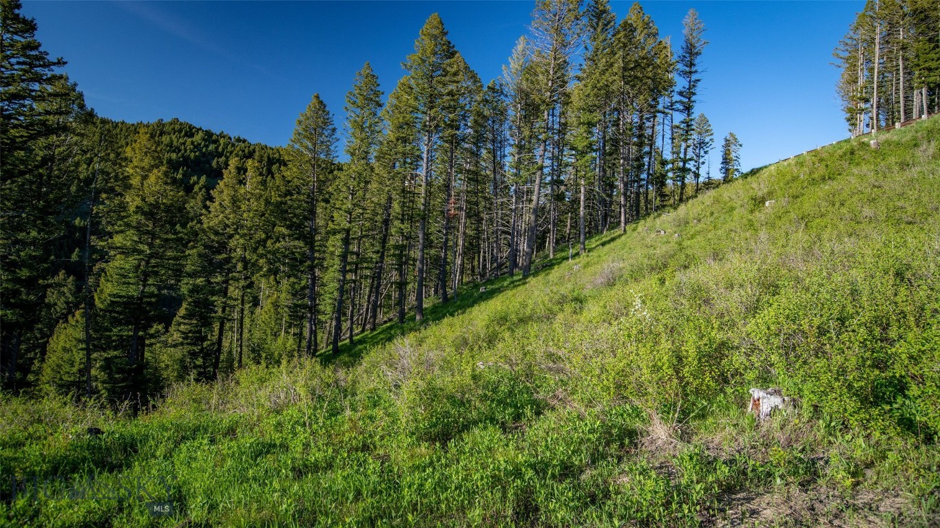 3525 and 3517 Claim Creek