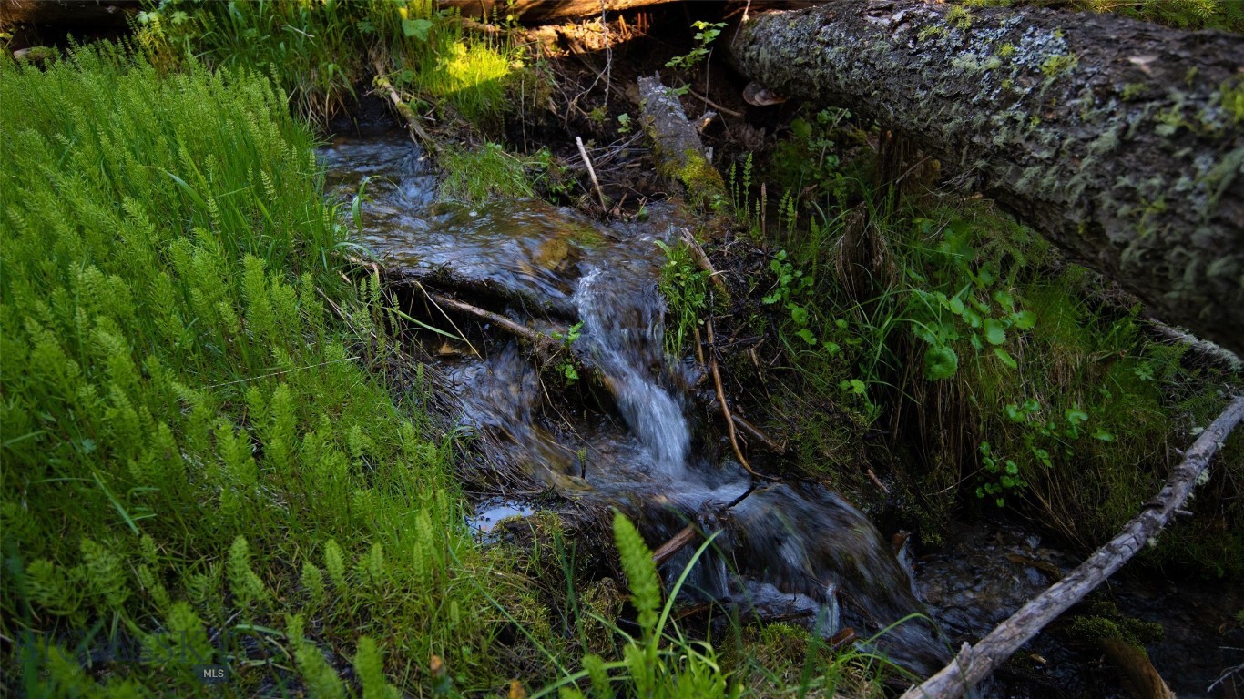 3525 and 3517 Claim Creek