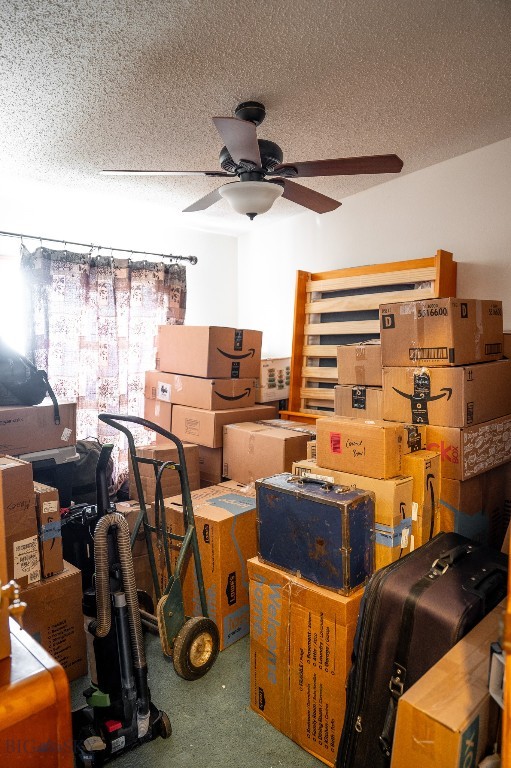 2440 US Highway 89 N