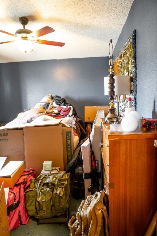 2440 US Highway 89 N