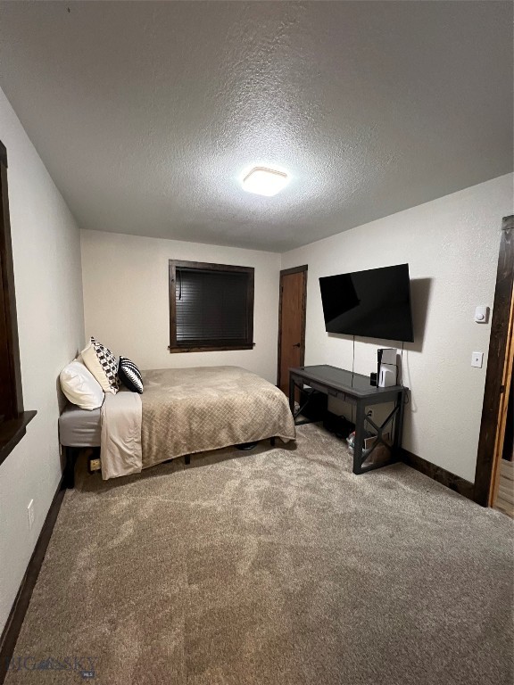 169 & 167 Grizzly Bear Loop