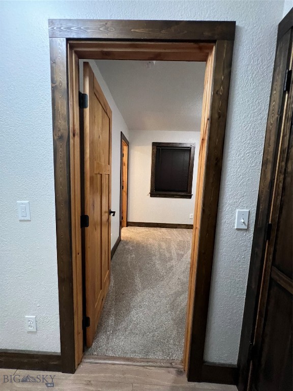 169 & 167 Grizzly Bear Loop