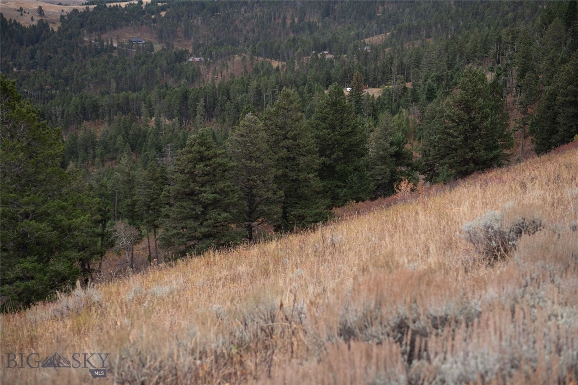 20 ac Alpine Springs Trail