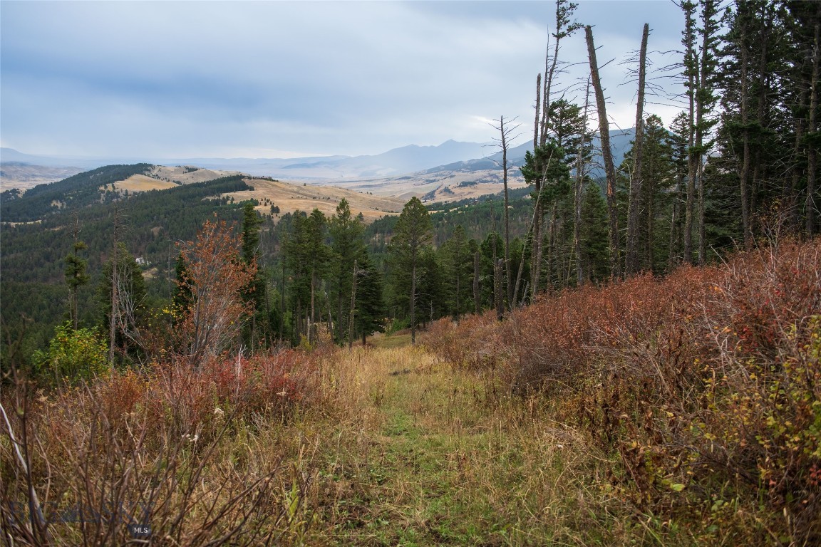 20 ac Alpine Springs Trail