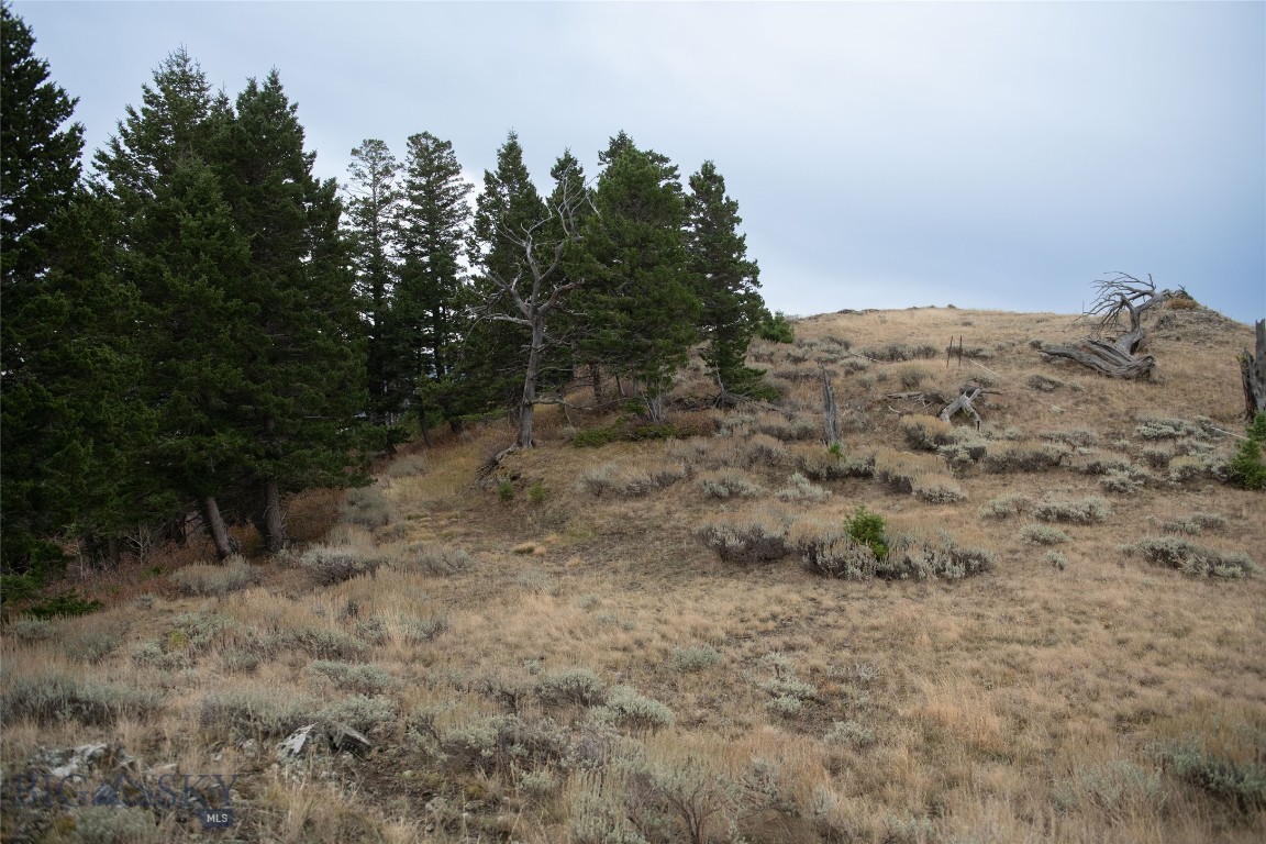 20 ac Alpine Springs Trail