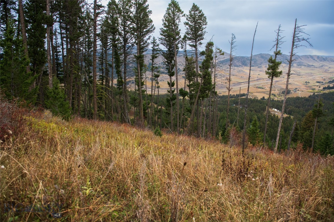 20 ac Alpine Springs Trail