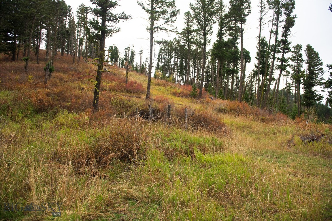 20 ac Alpine Springs Trail