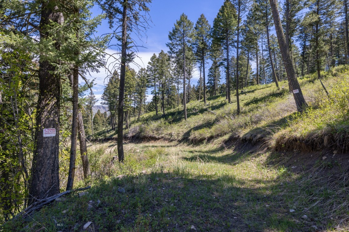 15 AC Elk Ridge Road