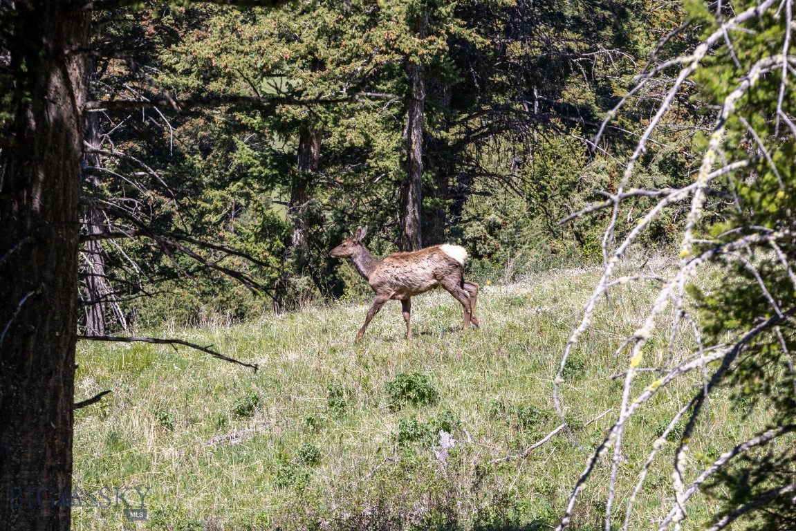 15 AC Elk Ridge Road