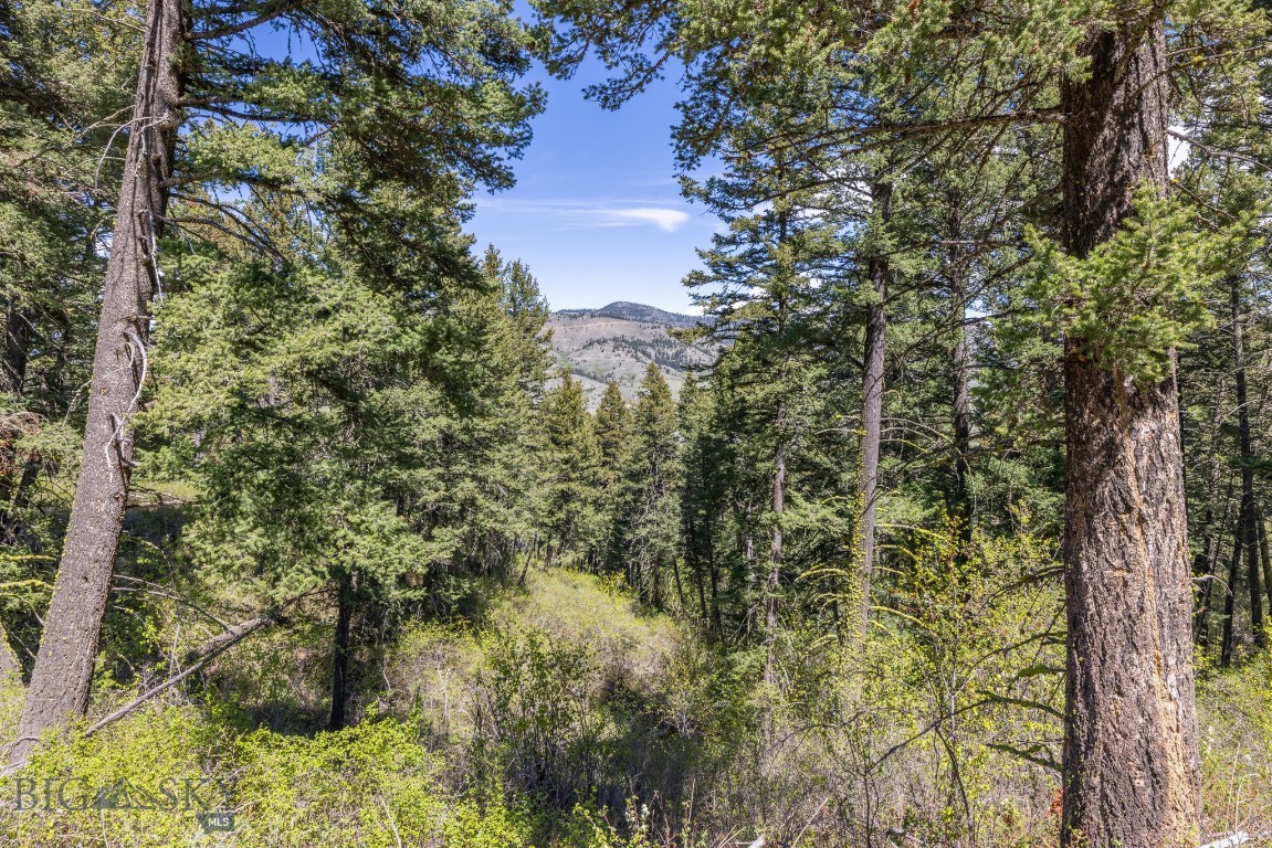 15 AC Elk Ridge Road