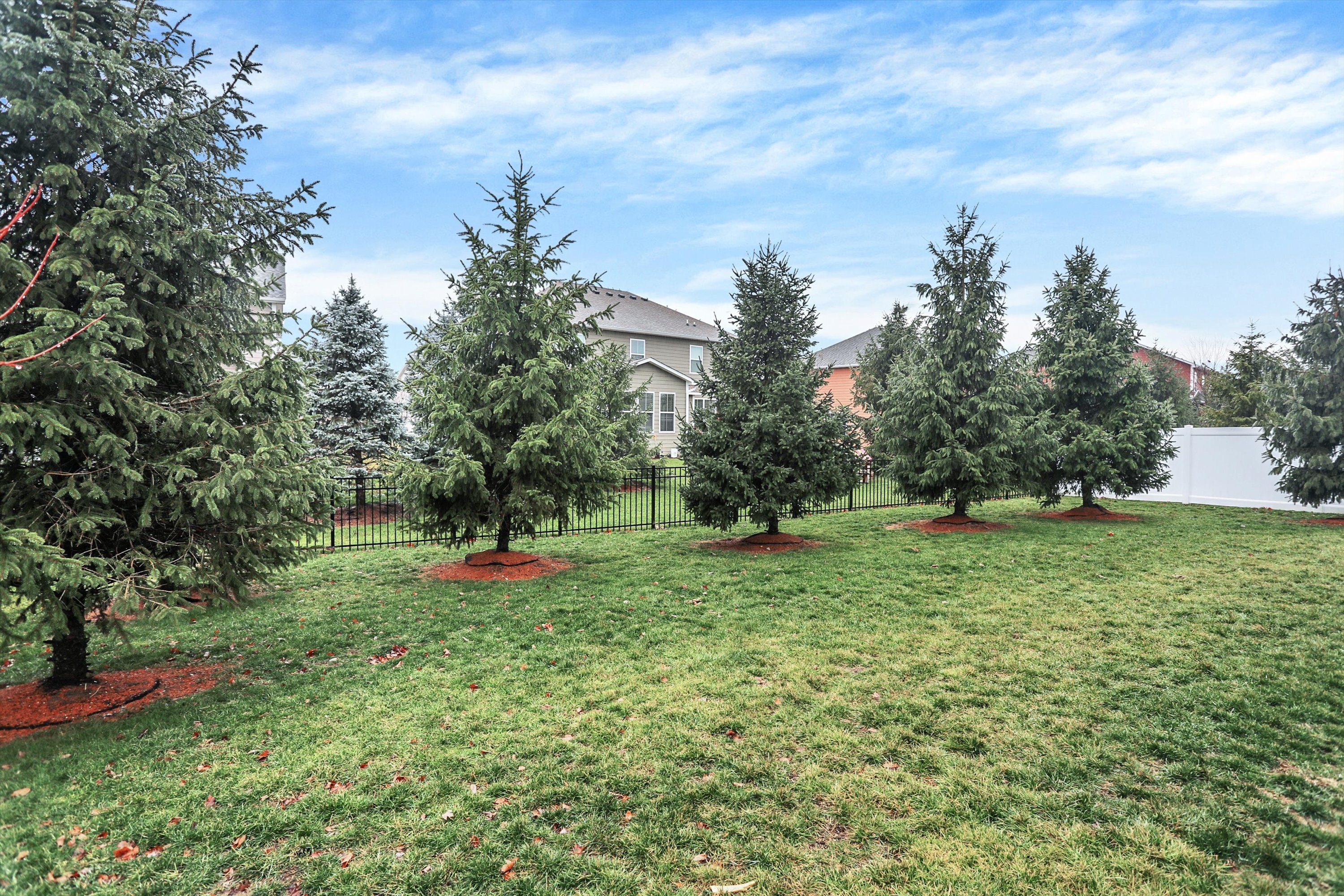 537 Abaccus Lane