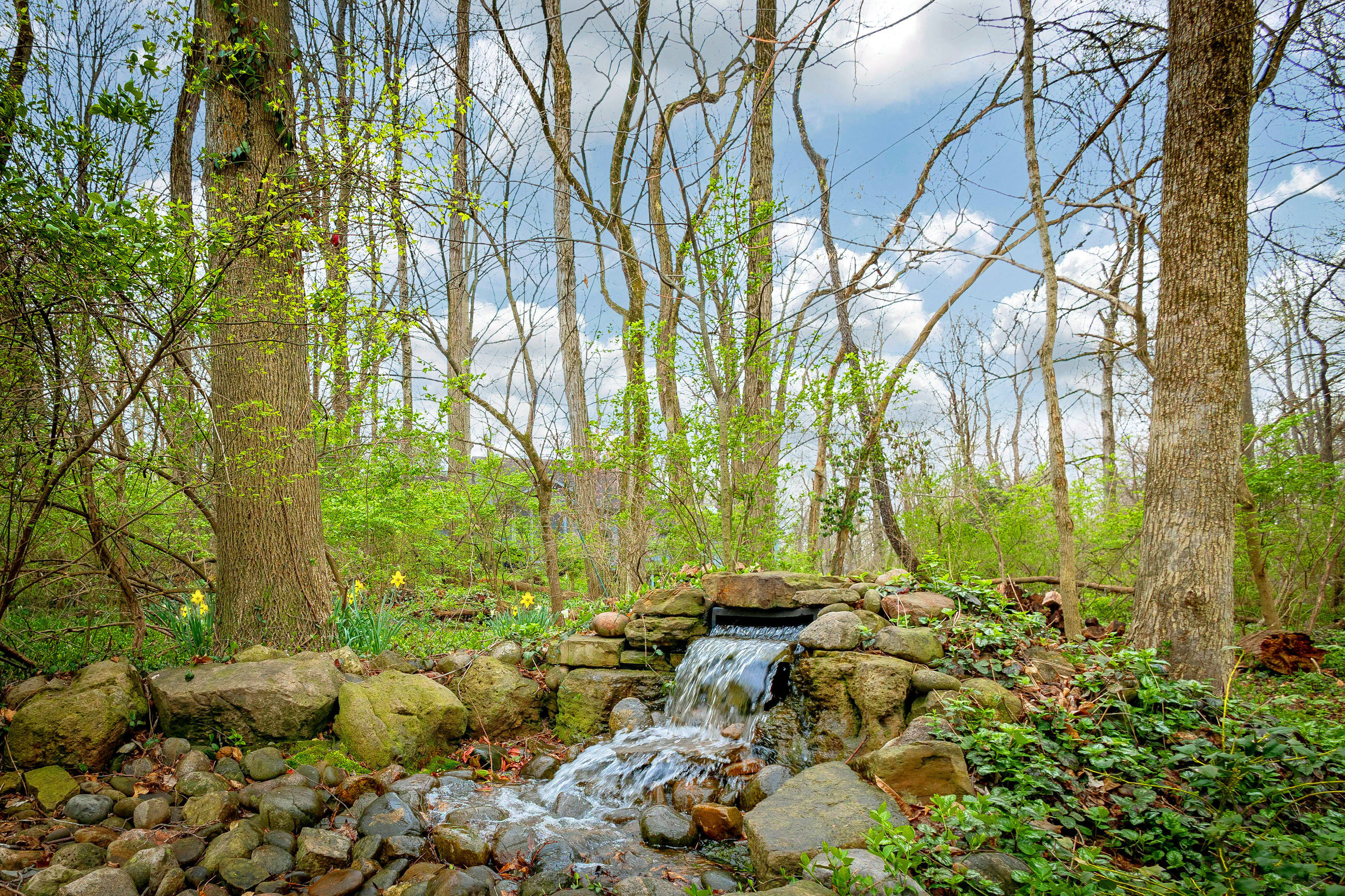 7422 Noel Forest Court