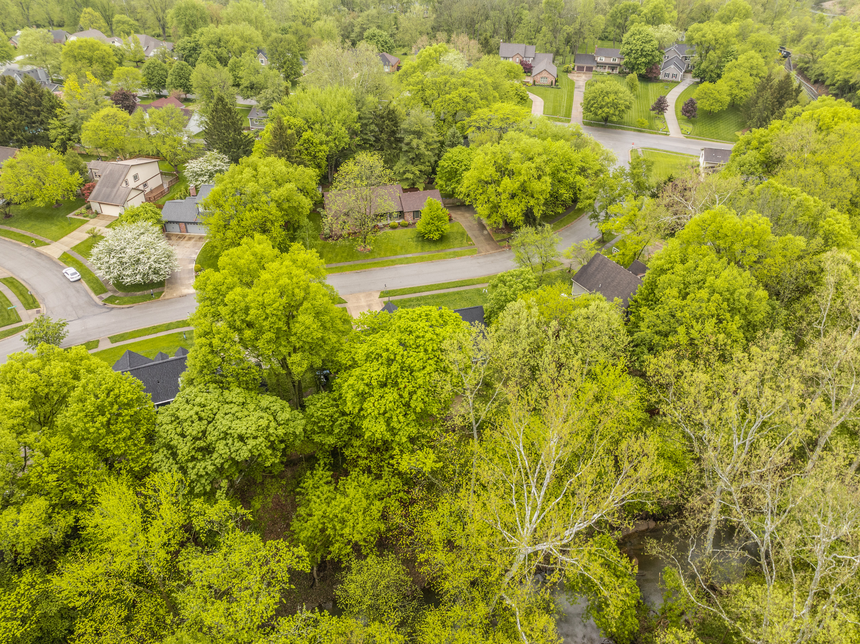 110 Stony Creek Overlook