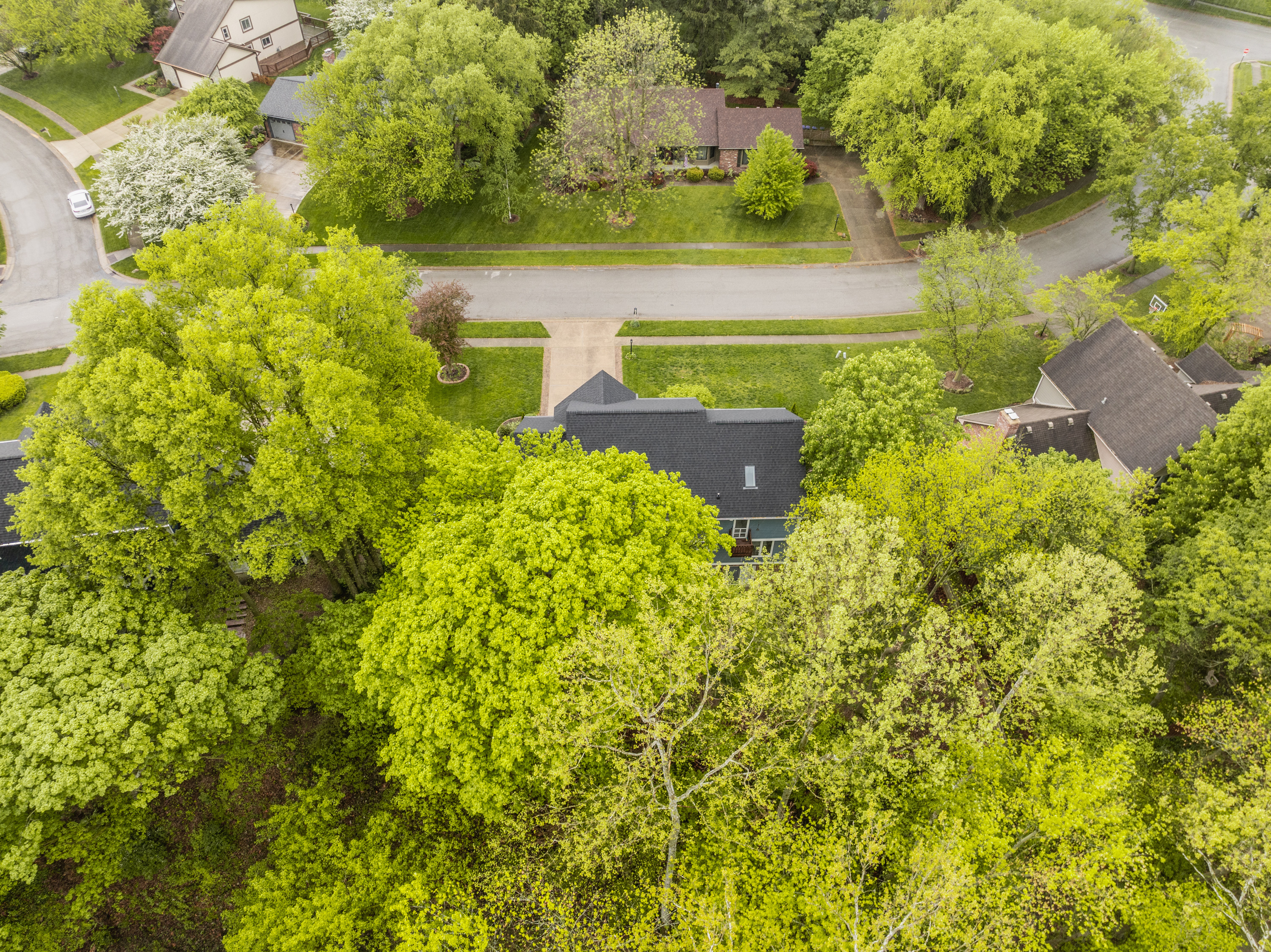 110 Stony Creek Overlook