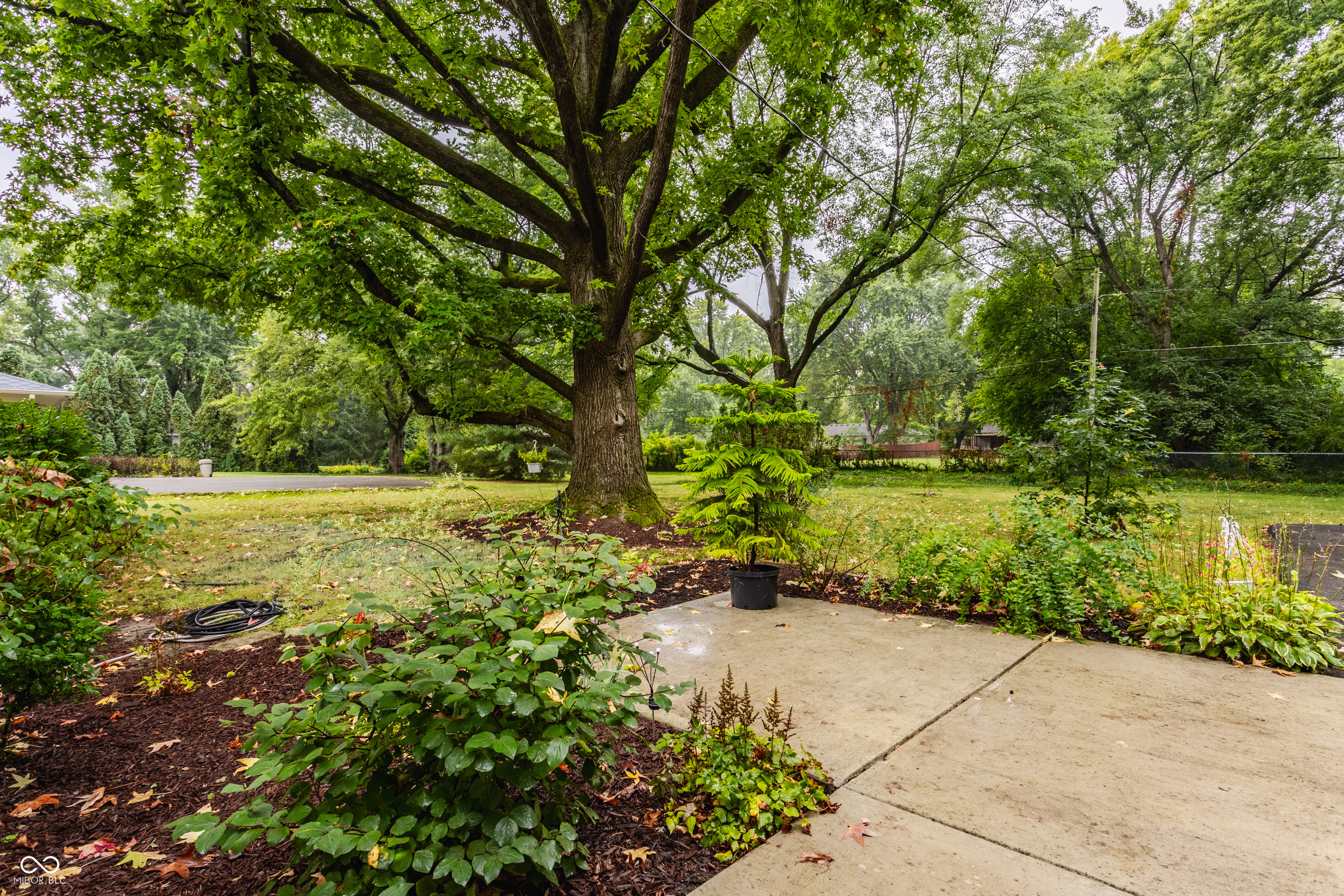 6234 N Tuxedo Street