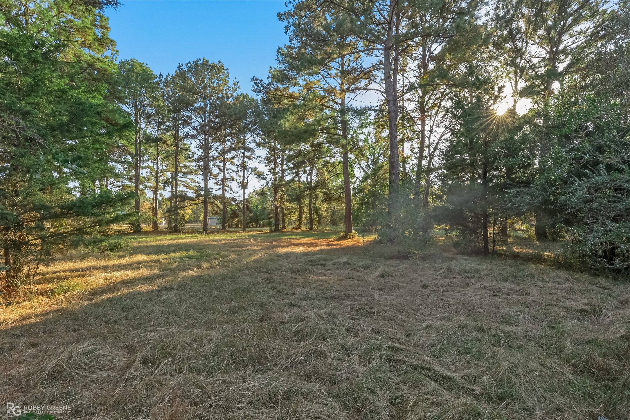 8293 Shirley Francis Road