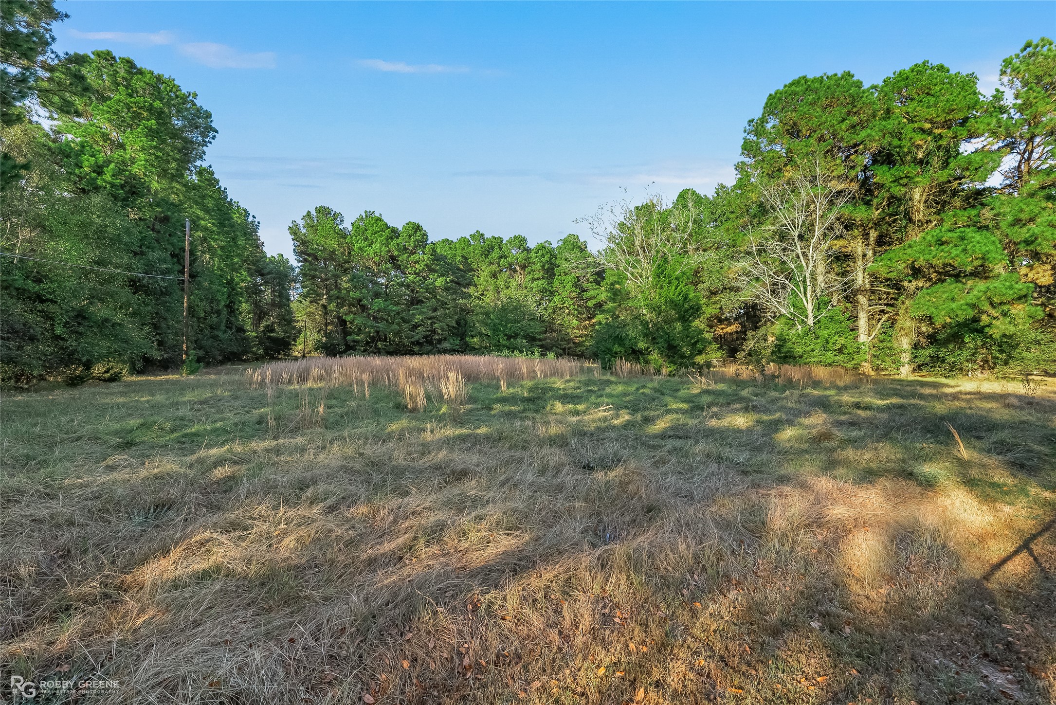 8293 Shirley Francis Road