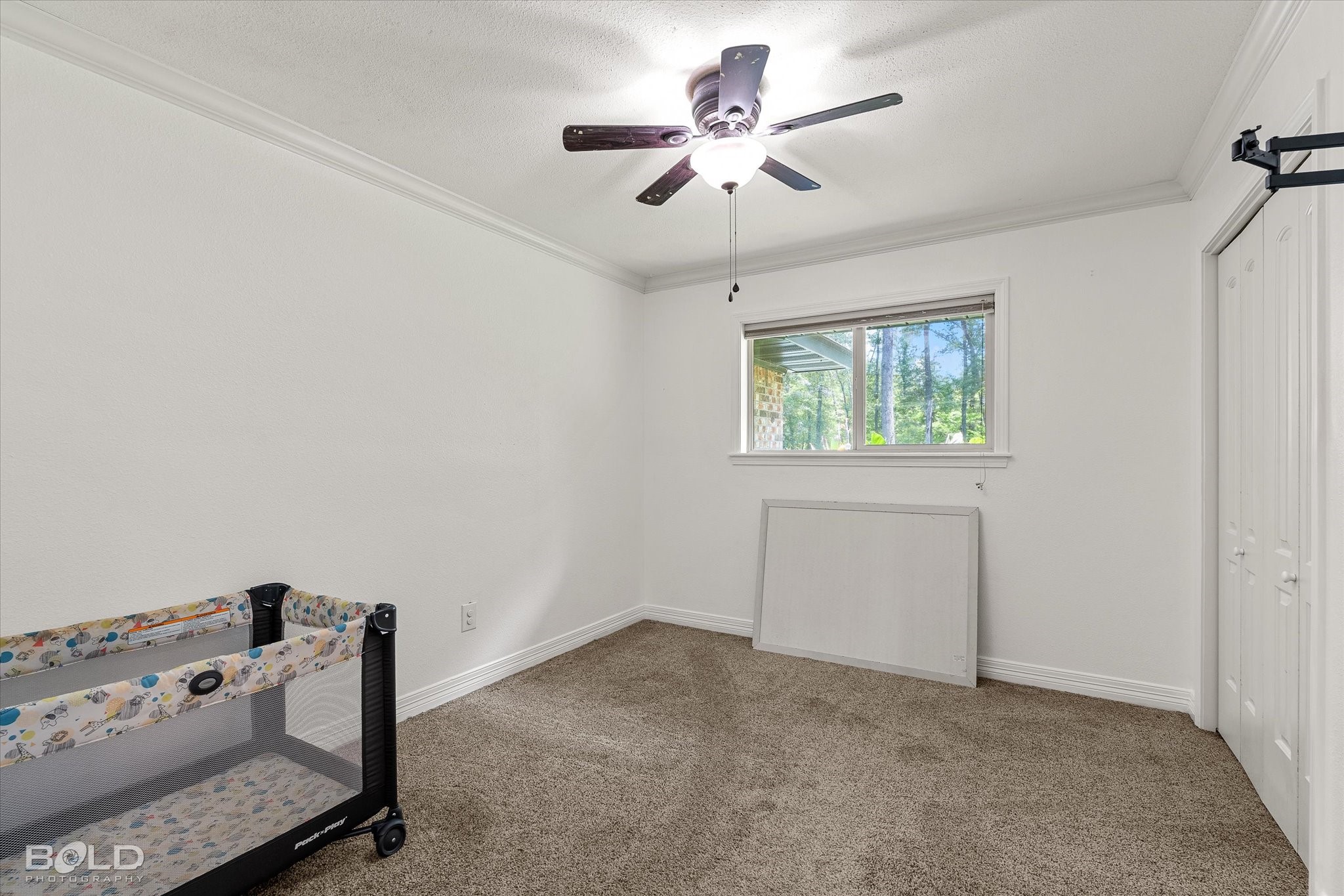 186 Cane Bend Drive