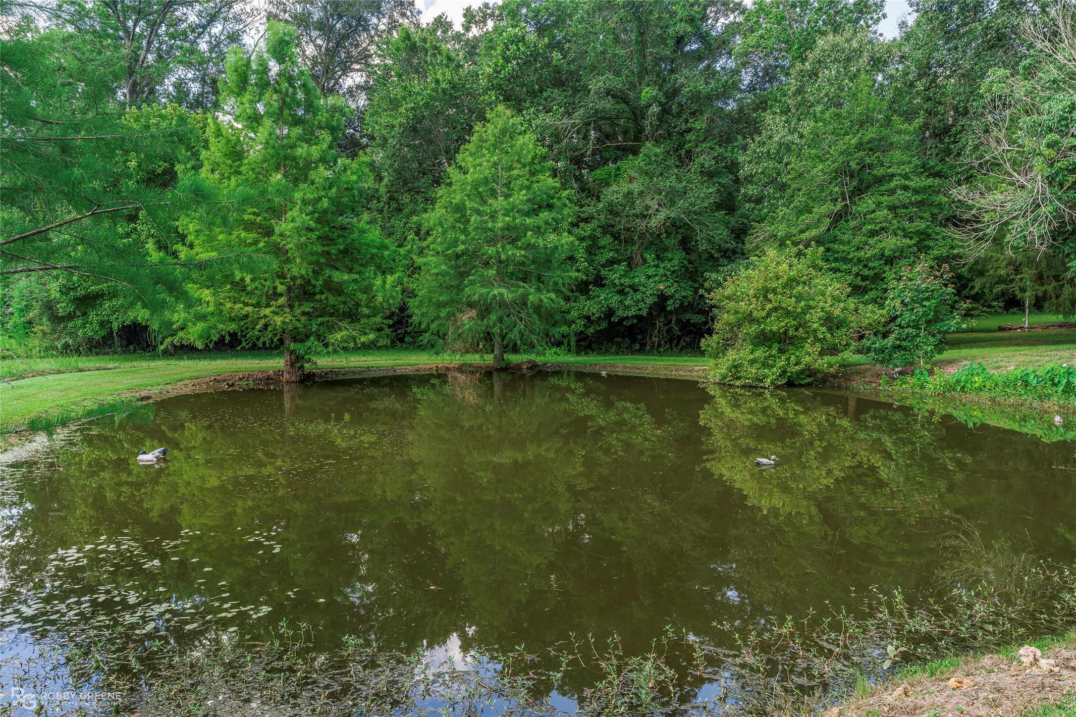 455 Smithville Road