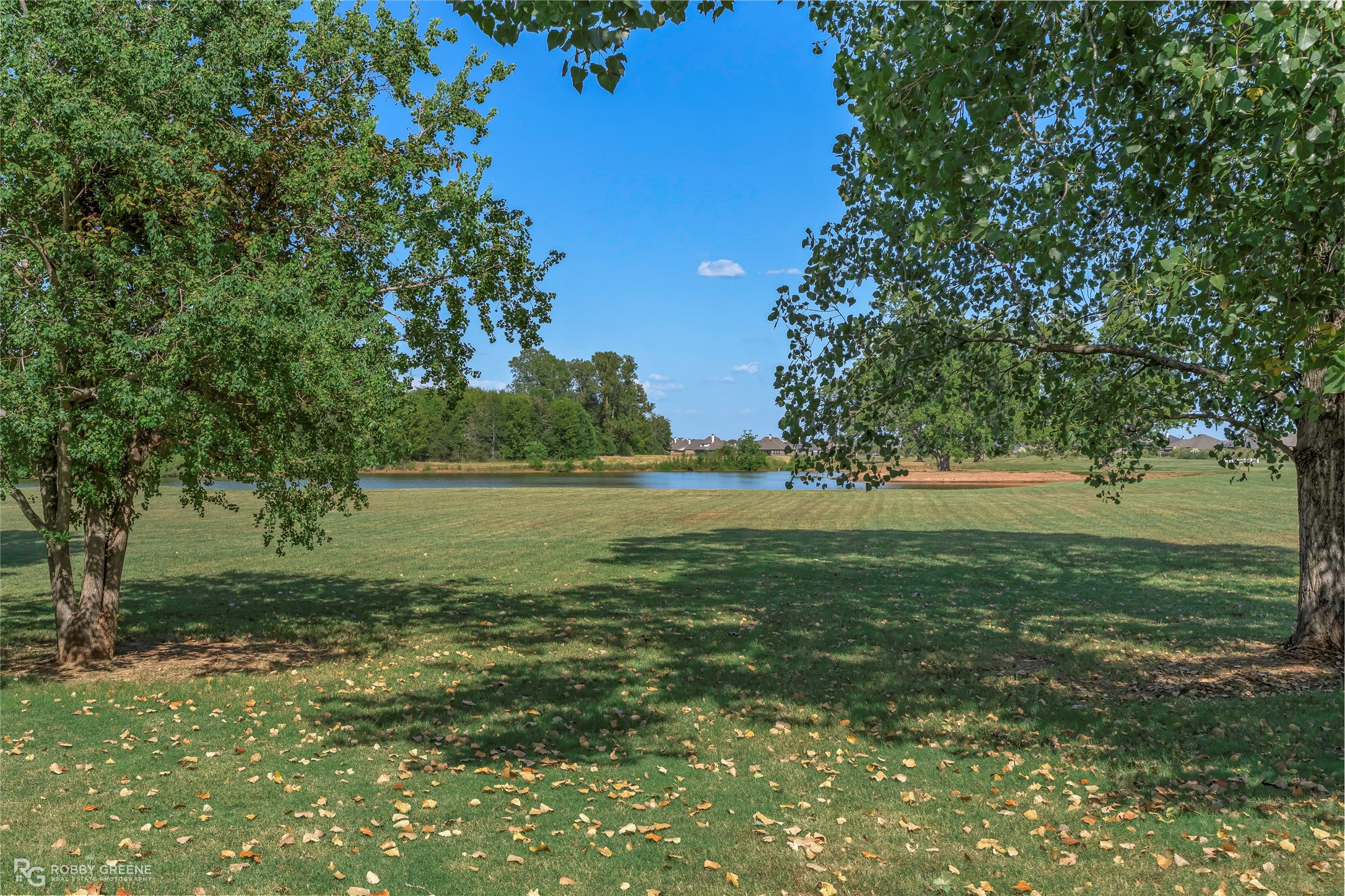 4206 Toledo Bend Drive