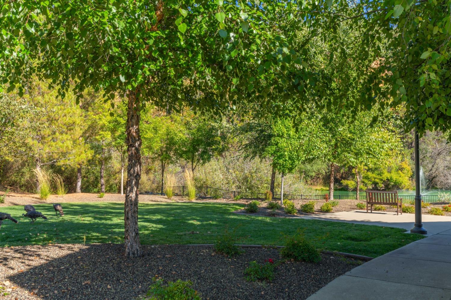 3377 Blairs Lane