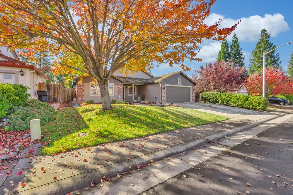 504 San Amadeo Court