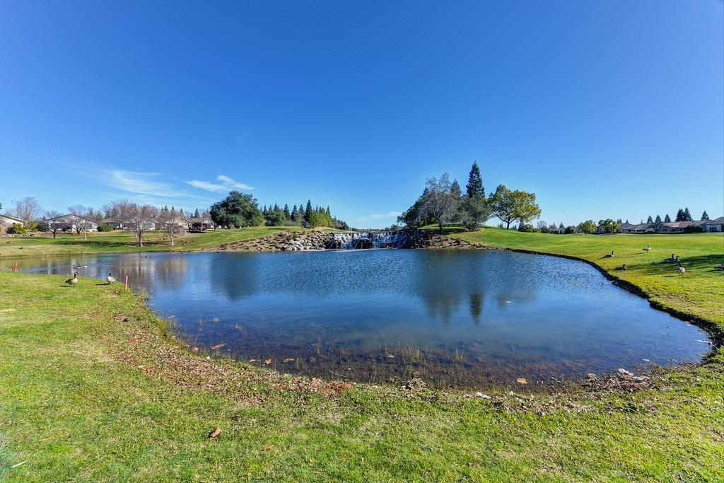 2307 Blue Heron Loop